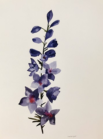 my birth flower fairy larkspur