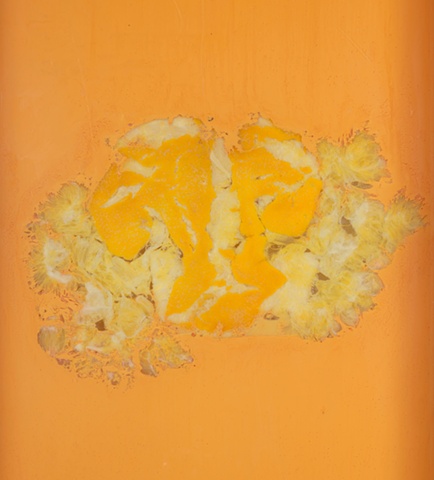 Orange Acrylic Paint (detail)