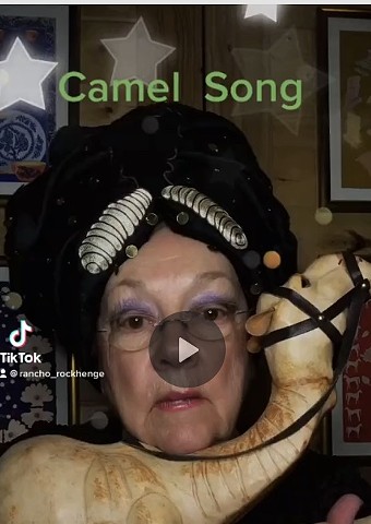 Camel Song For Camel Bedtime