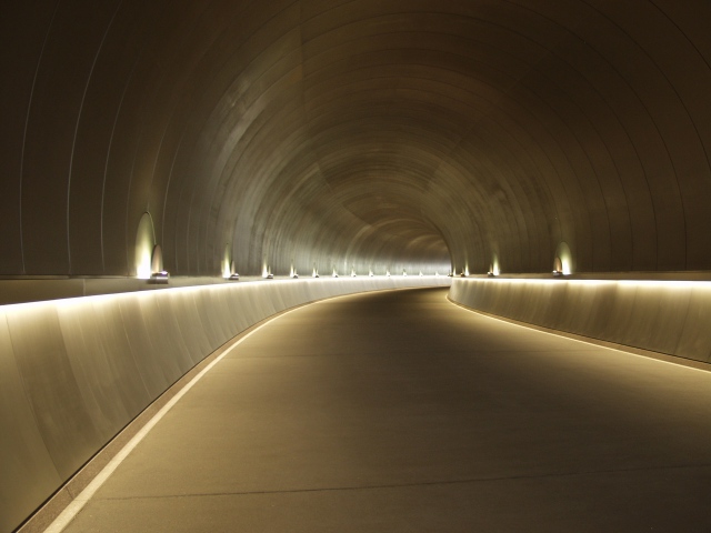 Miho Tunnel