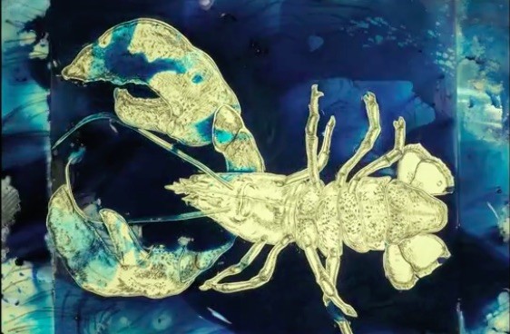 Origin Story: The LobsterRhinocerous (after Dürer)