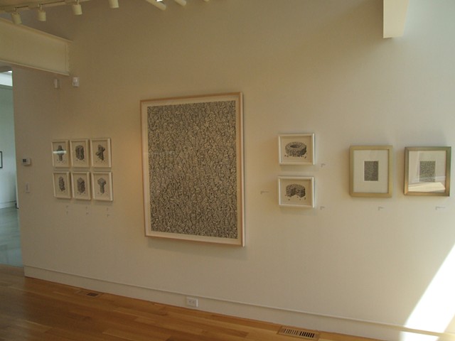 Deedee Shattuck Gallery installation 8