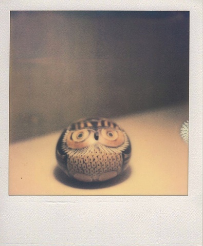 Owl