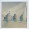 Pears