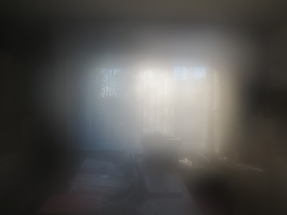 llusive Flesh of Light (father’s office) 