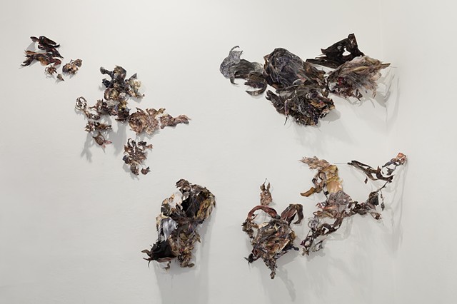 A knot, a tangle, a blemish in the eternal smoothness (detail)