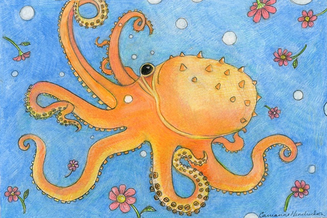Octopus drawing.