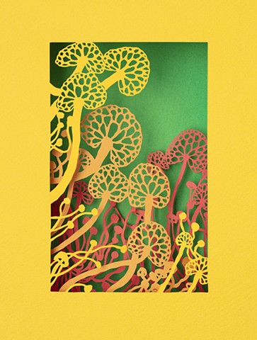 Favolaschia Calocera I