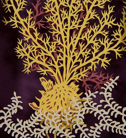 Seaweed--detail