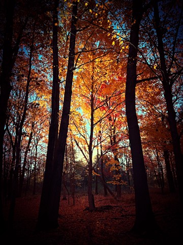 The Promise of Light