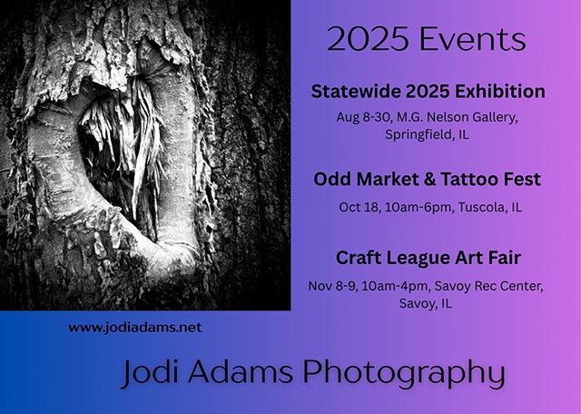 Jodi Adams Photography