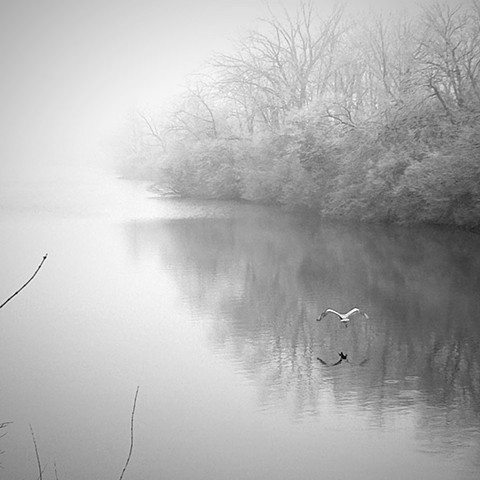 Jodi Adams Photography