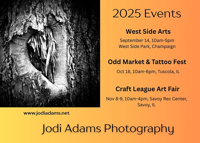 Jodi Adams Photography