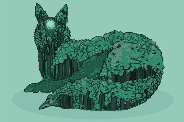 Fox Forest