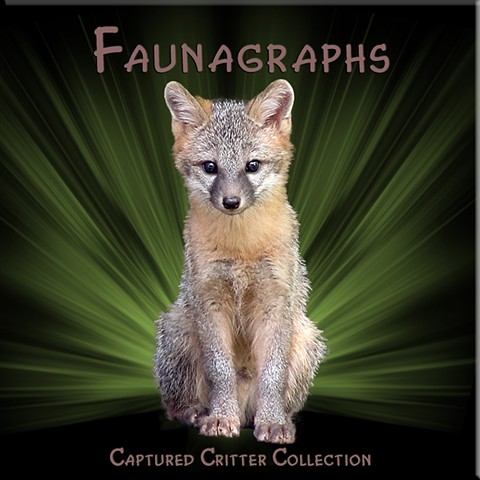 Faunagraphs