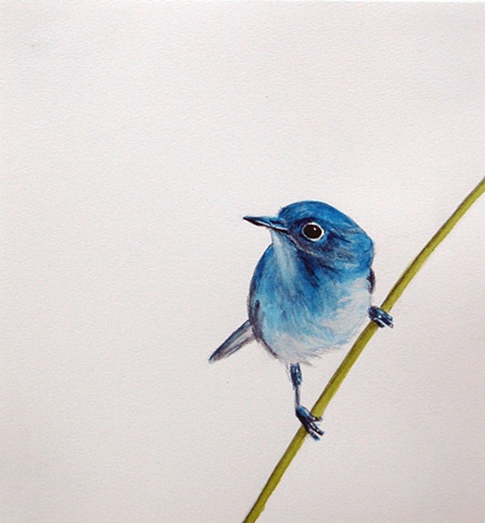 Bird on a Twig