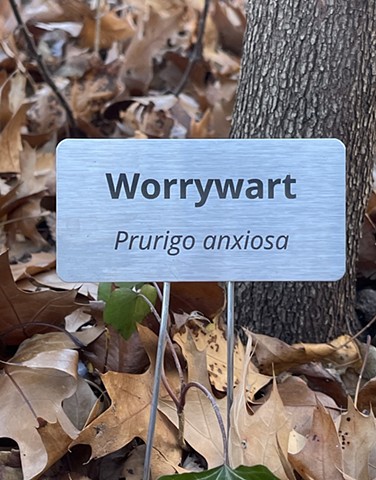 Worrywart