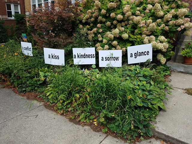 Untitled yard signs