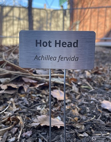 Hot Head 