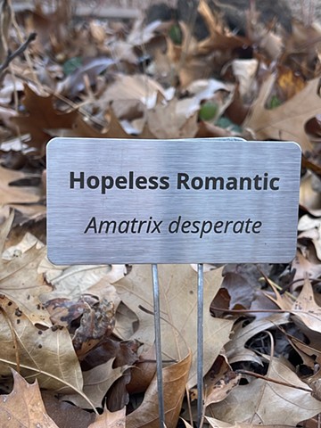 Hopeless Romantic 