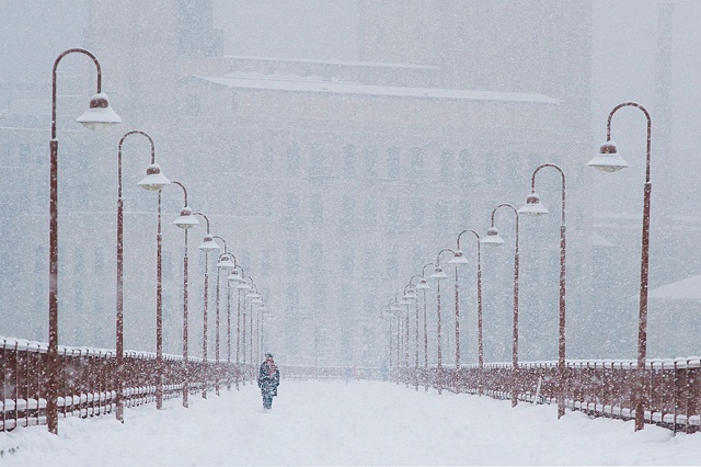 Snowy Serenity, Minneapolis, MN