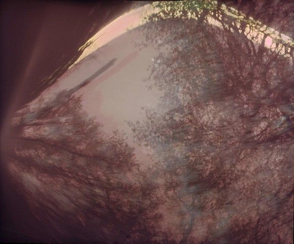   <171> South of Camera Obscura on Ground in Arroyo in Tangled Branches, 53 days, 11.26.21 - 1.18.22