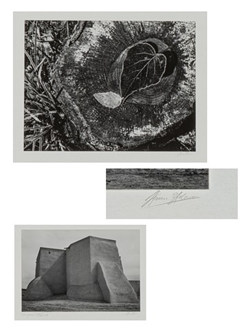 "Ansel Adams"