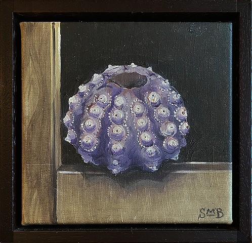 Prized Specimen: Sutnick Urchin