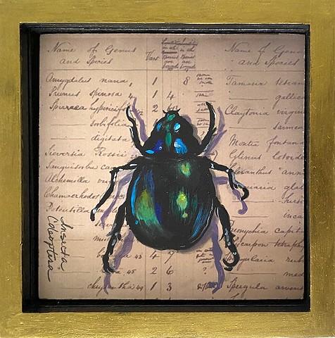 Iridescent Scarab Beetle