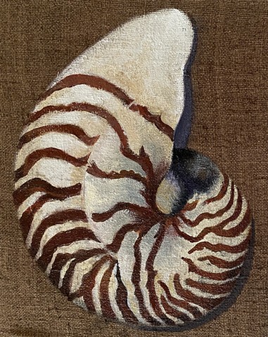 Nautilus- Exterior