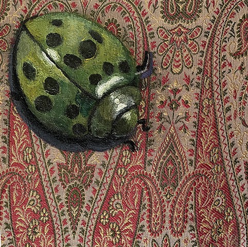 Green Ladybug