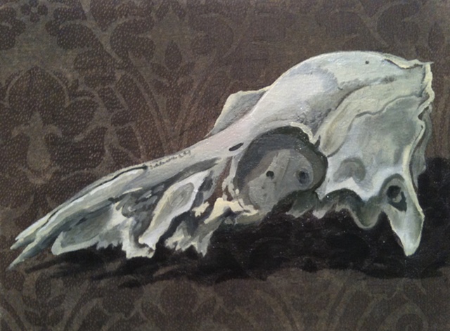 partially deteriorated fawn skull