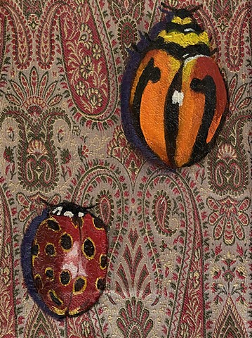 Eyed Ladybug and Striped Ladybug