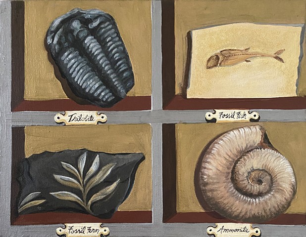 Fossil Collection