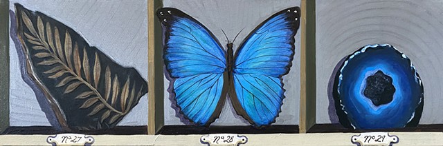 Fern, MOrpho, Geode
