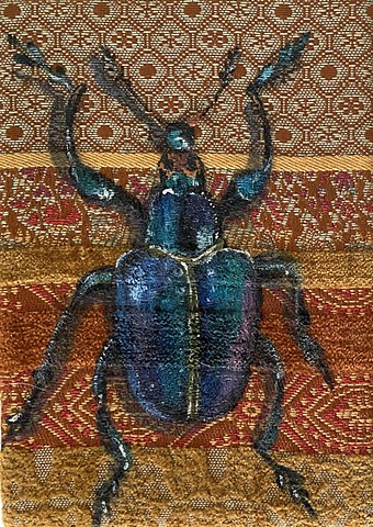Rare Scarab Beetle