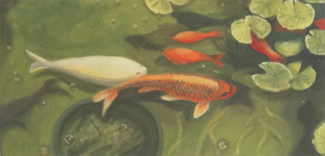 portrait of a unique white koi
