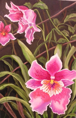 Phaleanopsis