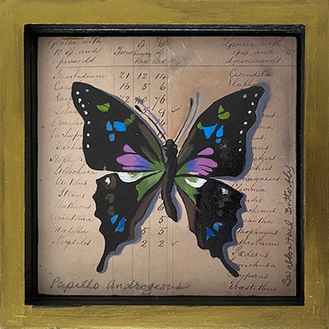 Swallowtail Butterfly