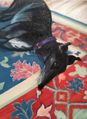 Leon- retired greyhound- at rest