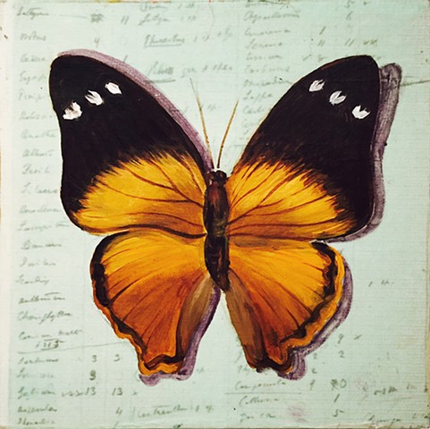 painted on printed paper - Darwin's List of Species