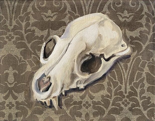 Mink Skull