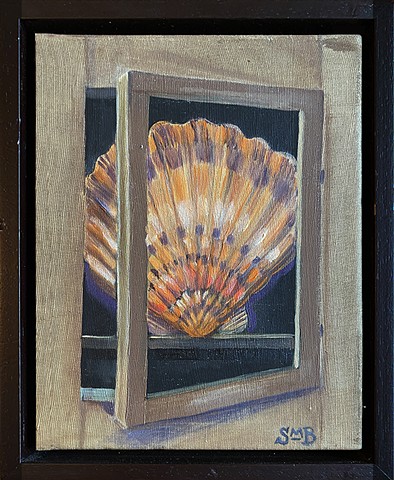 Prized Specimen: Lion's Paw Clam Shell