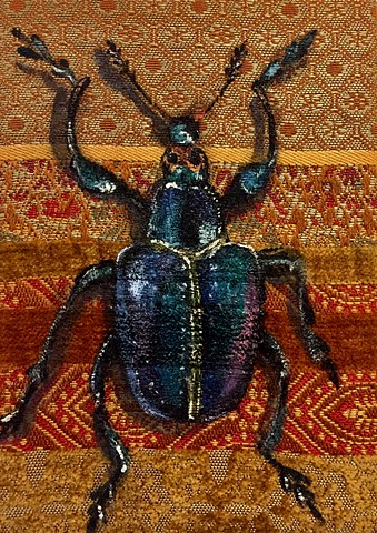 Rare Scarab Beetle
