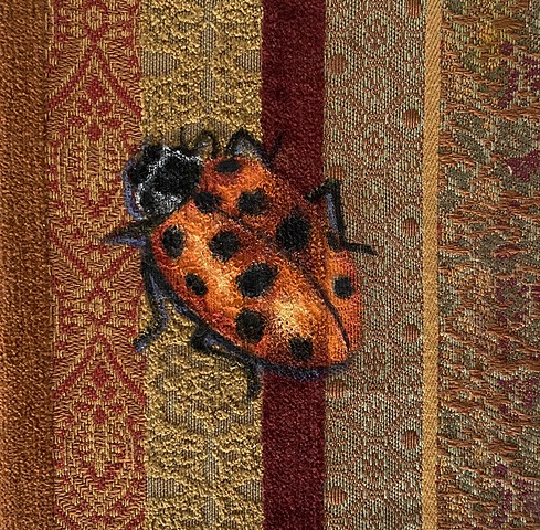 13 Spotted Ladybug