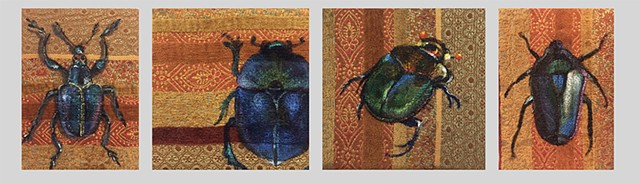 Scarab beetle collection