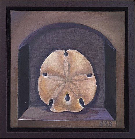 Prized Specimen: Sand Dollar