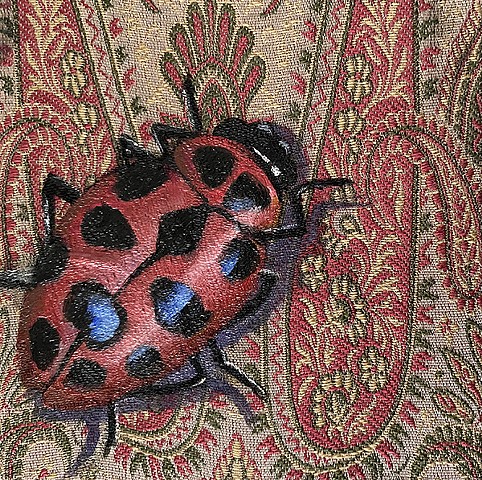 Pink Spotted Lady Beetle