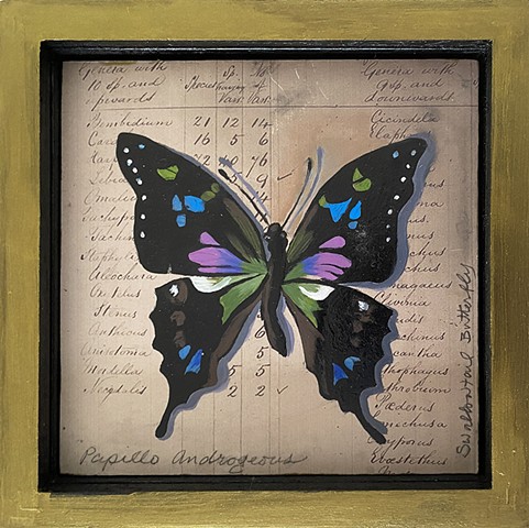 Swallowtail Butterfly