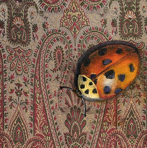 Ten Spotted Ladybird